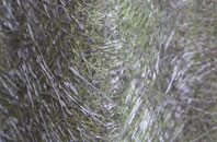 Port Glasgow fibreglass roof work